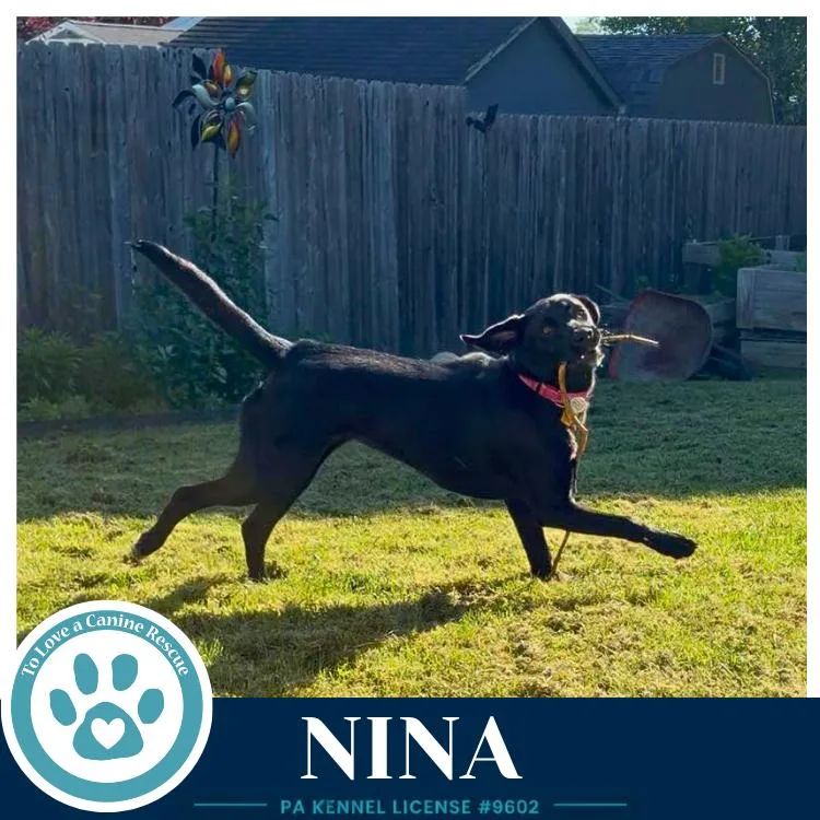 Nina thumbnail 4