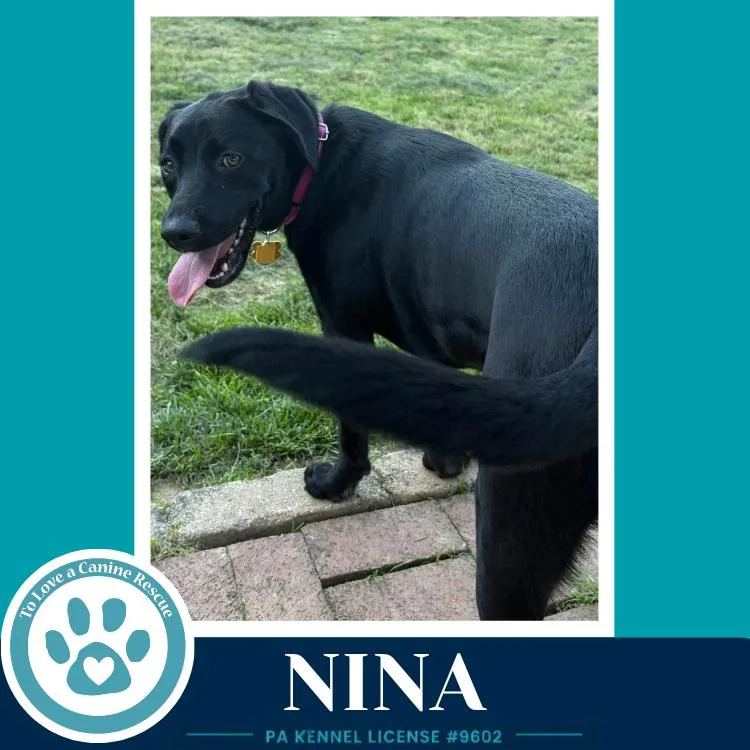 Nina thumbnail 5