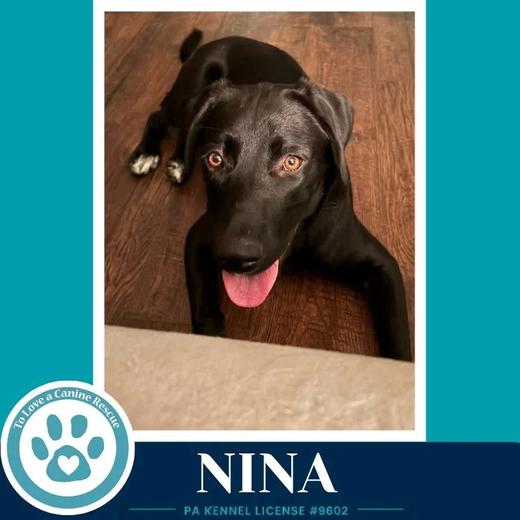 Nina thumbnail 6