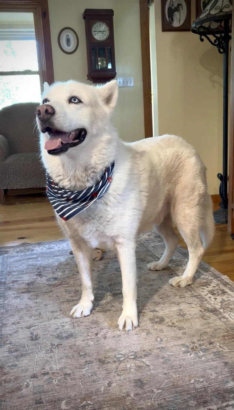 Poco thumbnail 3