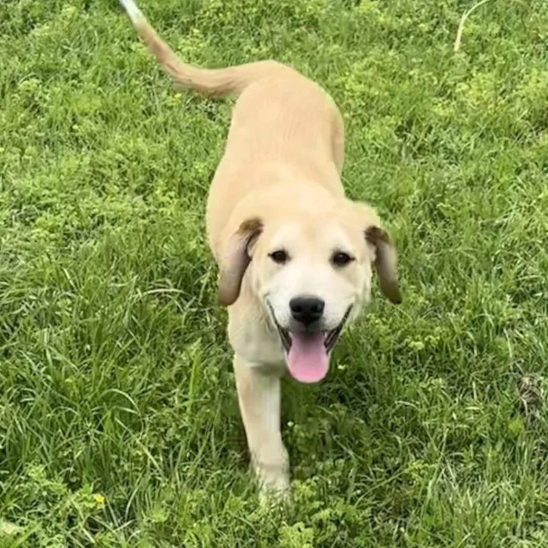 Tortellini thumbnail 5