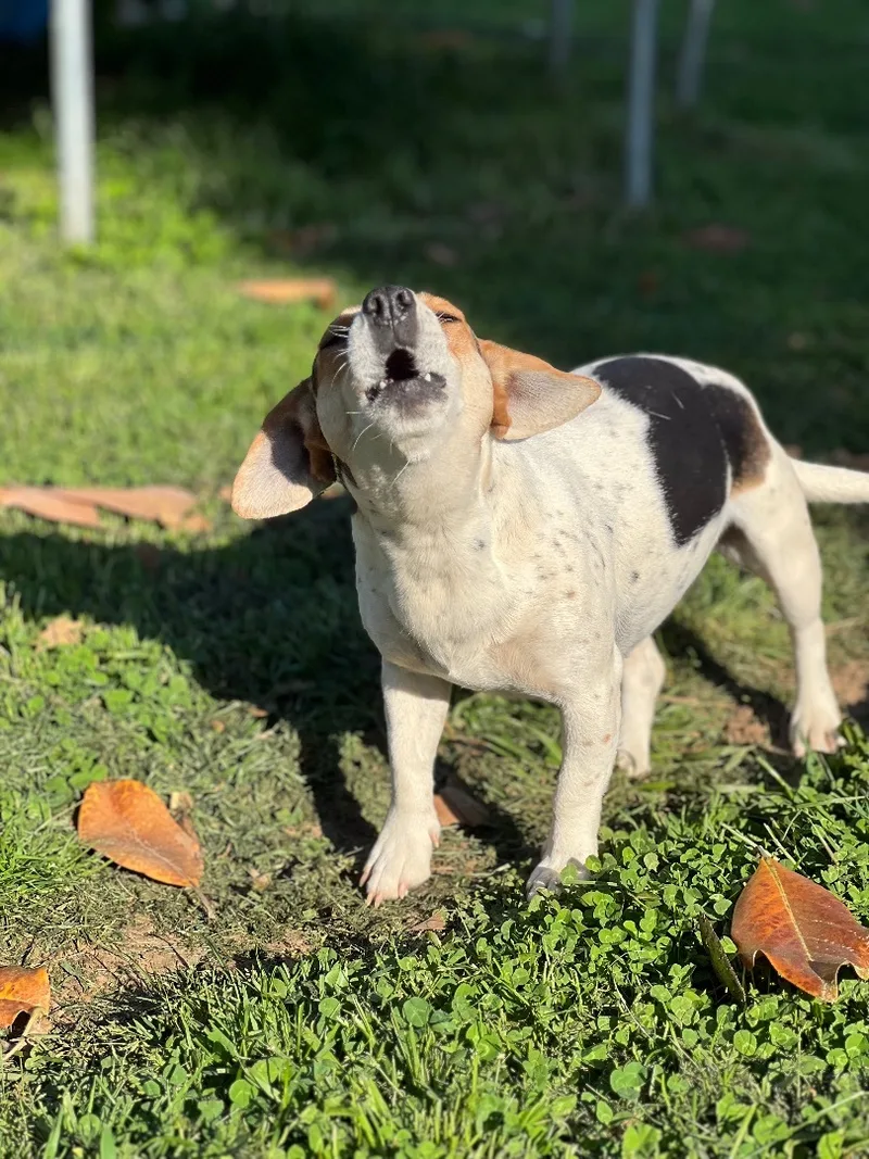 Sharon Weiss thumbnail 5