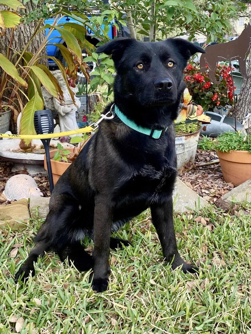 Siri Aka Shuri thumbnail 3