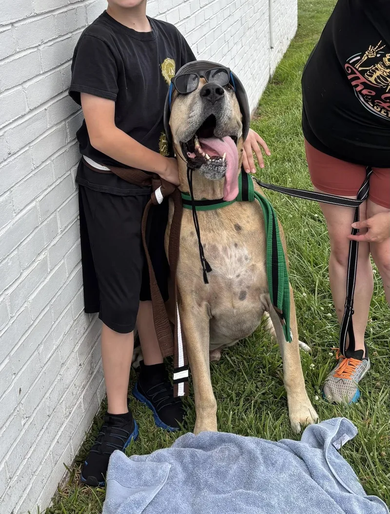 Frederick Lamar thumbnail 2