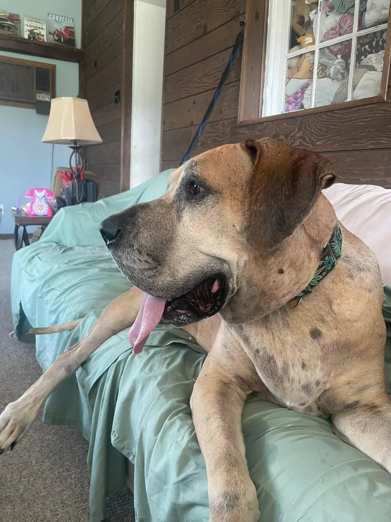 Frederick Lamar thumbnail 3