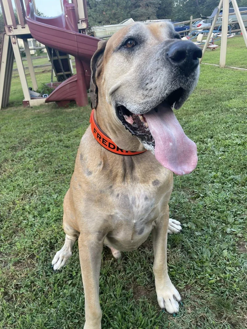 Frederick Lamar thumbnail 4