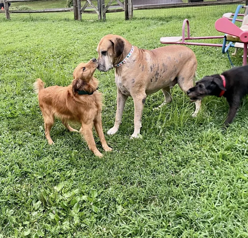 Frederick Lamar thumbnail 6