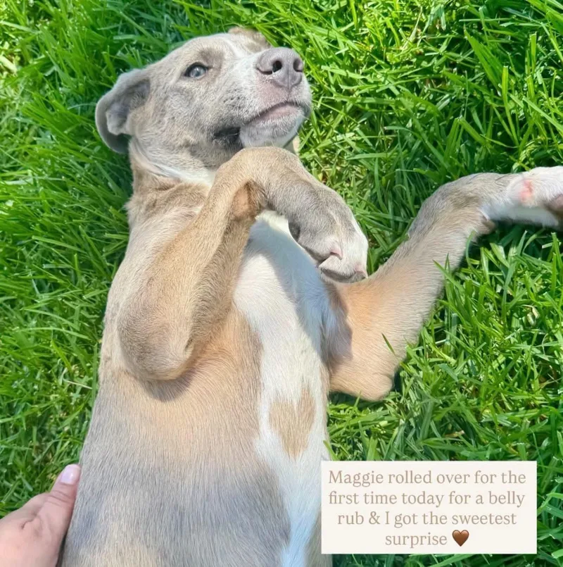 Maggie thumbnail 6