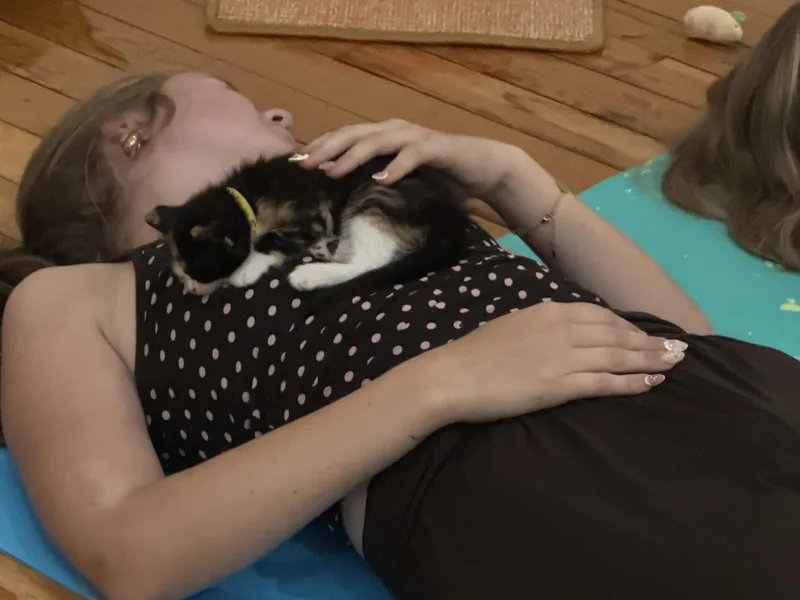 Snickers thumbnail 3