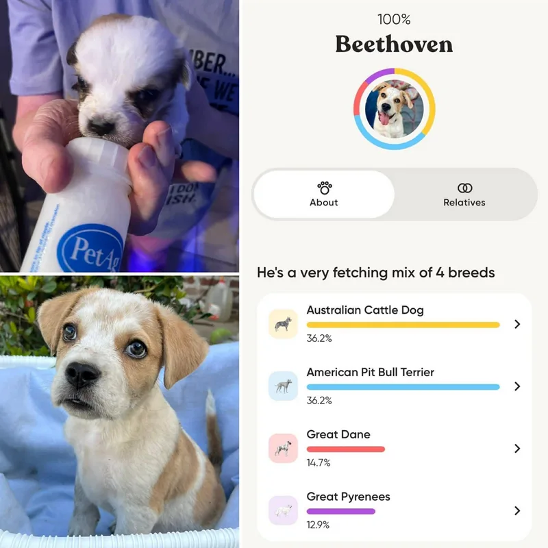 Beethoven thumbnail 5