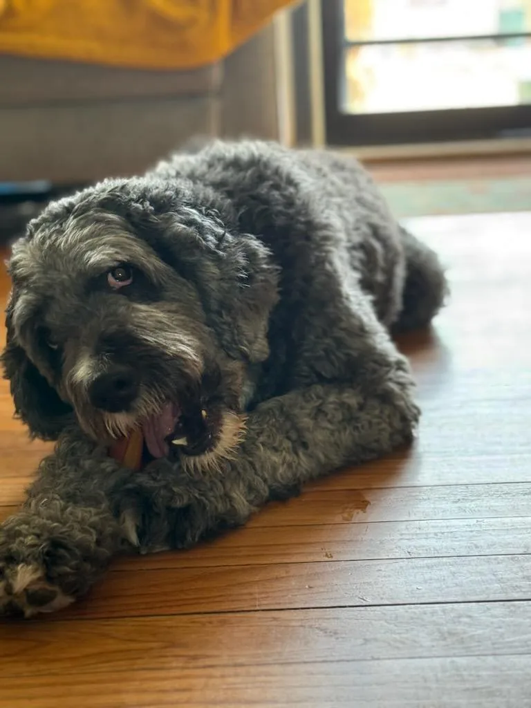 Sprocket thumbnail 2