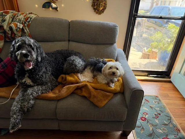 Sprocket thumbnail 3