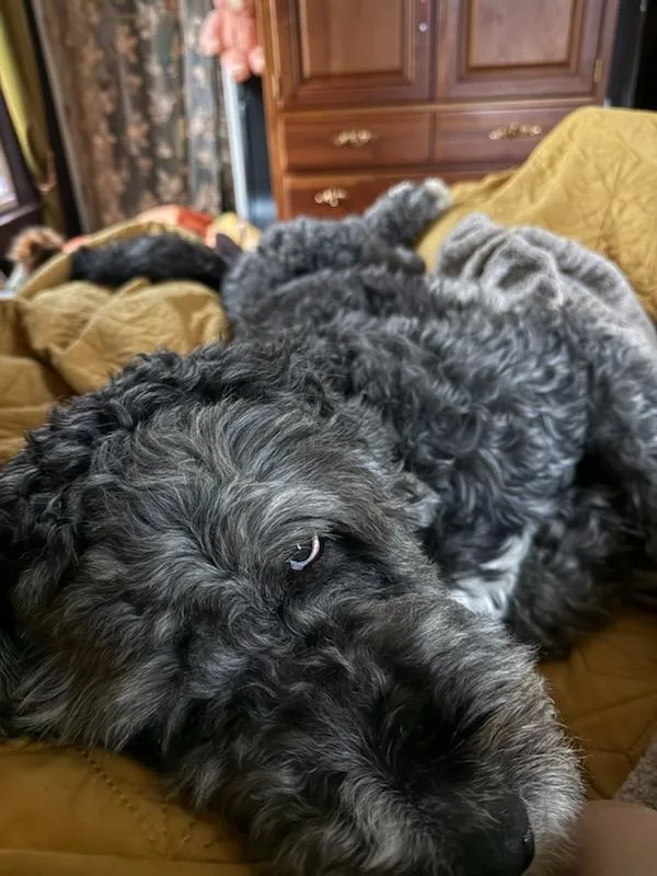 Sprocket thumbnail 4