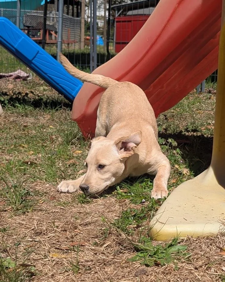 Etta Bloom thumbnail 2