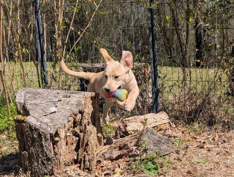 Etta Bloom thumbnail 3