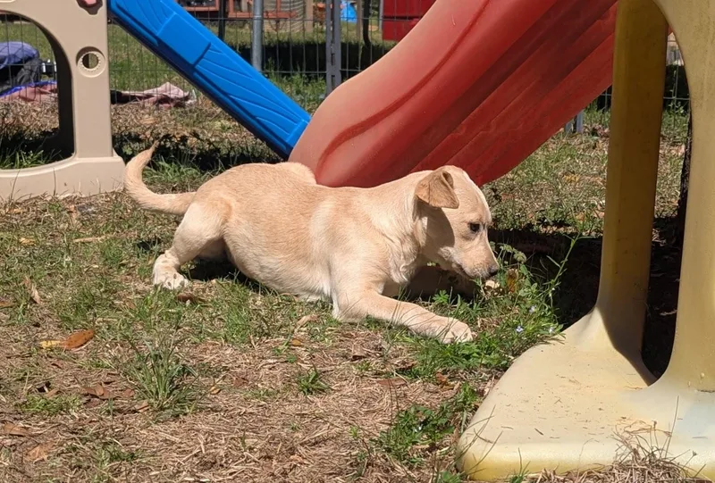 Etta Bloom thumbnail 4