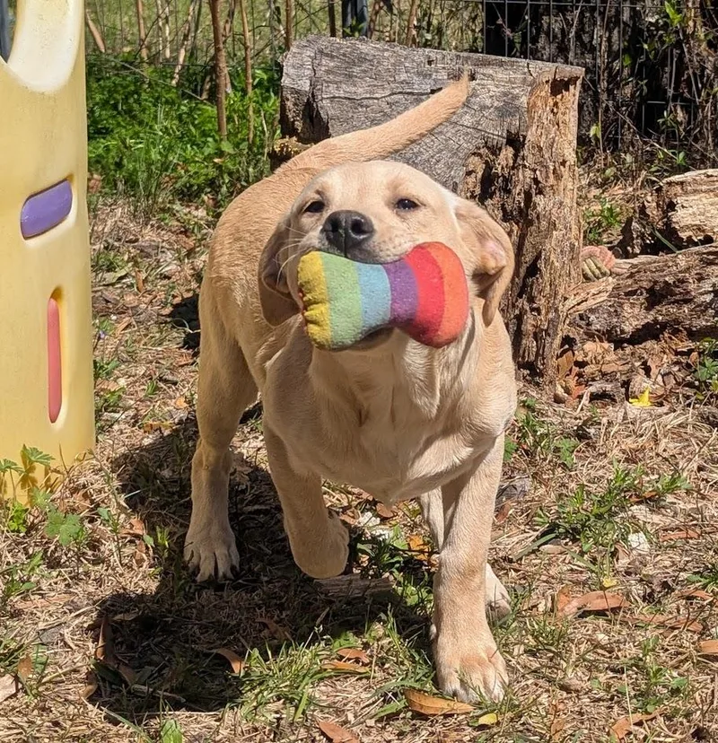 Etta Bloom thumbnail 5