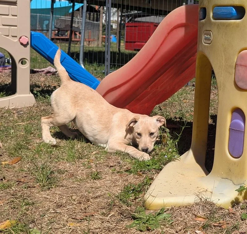 Etta Bloom thumbnail 6