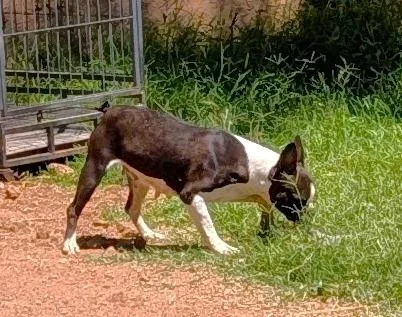 Disco  Phoenix Area thumbnail 3