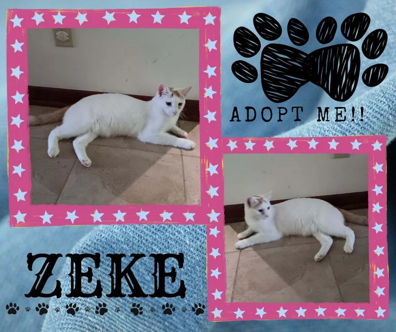 Zeke thumbnail 2