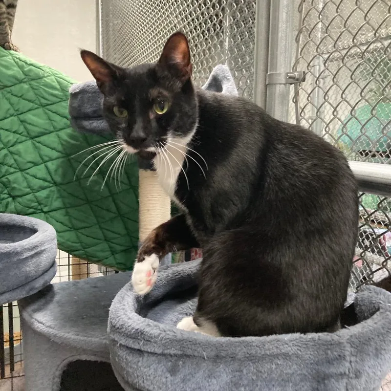 Bunny Aka Peaches thumbnail 3