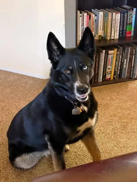 Ellie Mae thumbnail 2