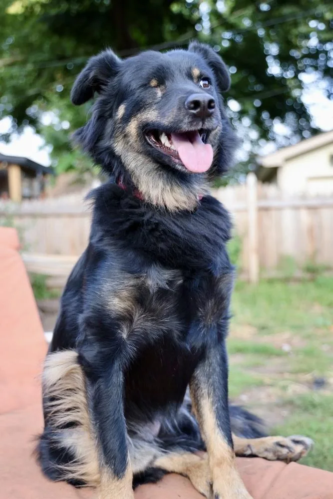 Sneakers thumbnail 2