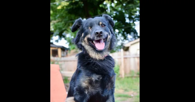 Sneakers thumbnail 5