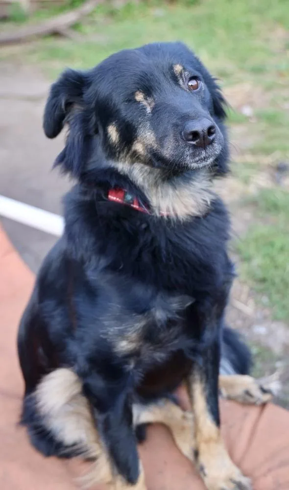 Sneakers thumbnail 6