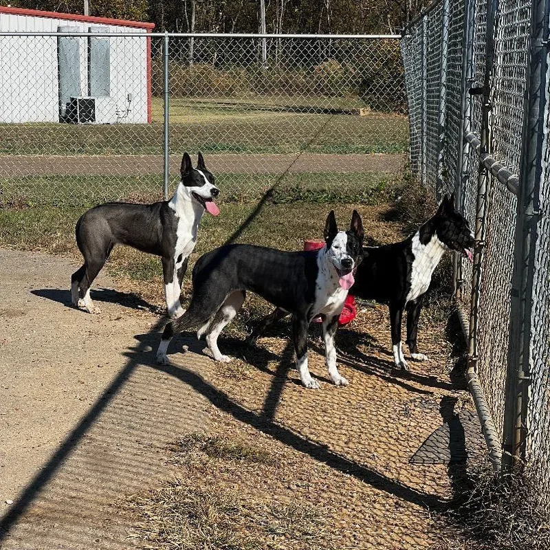 Monica Aka Freckles thumbnail 2