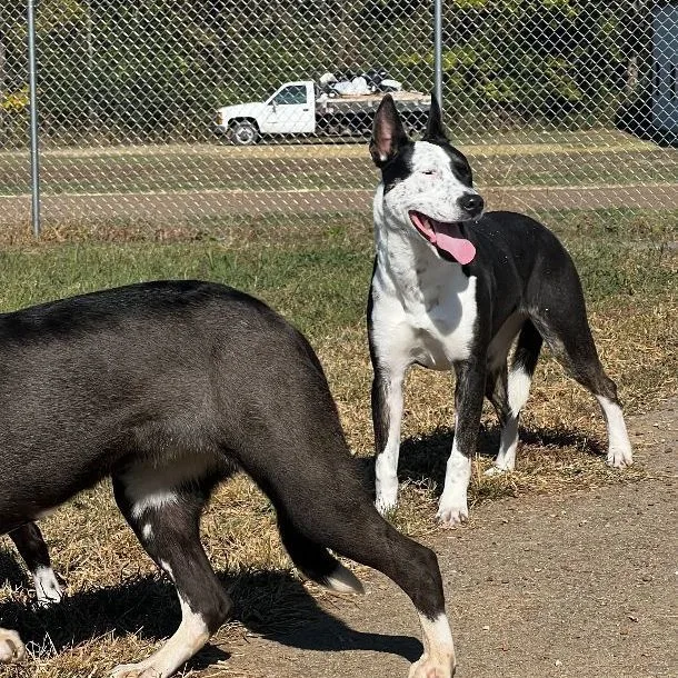 Monica Aka Freckles thumbnail 3