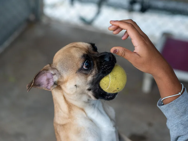 Brussel thumbnail 5