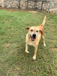 Billy The Kid thumbnail 3