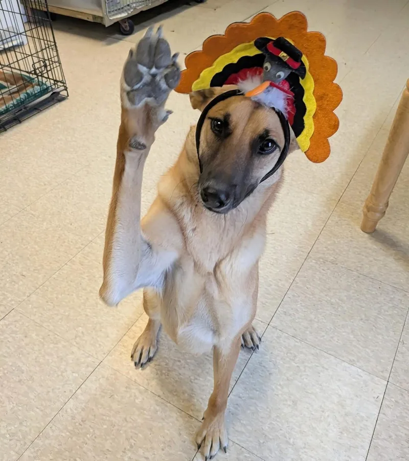 Princess thumbnail 3