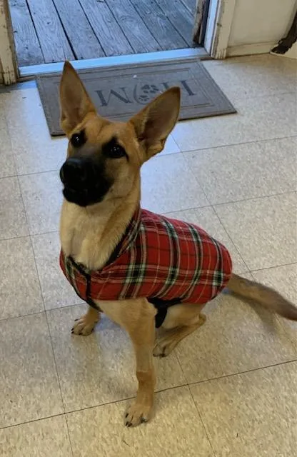 Princess thumbnail 5