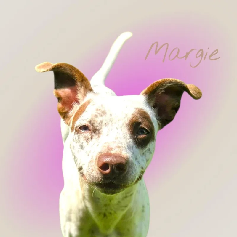 Margie thumbnail 4