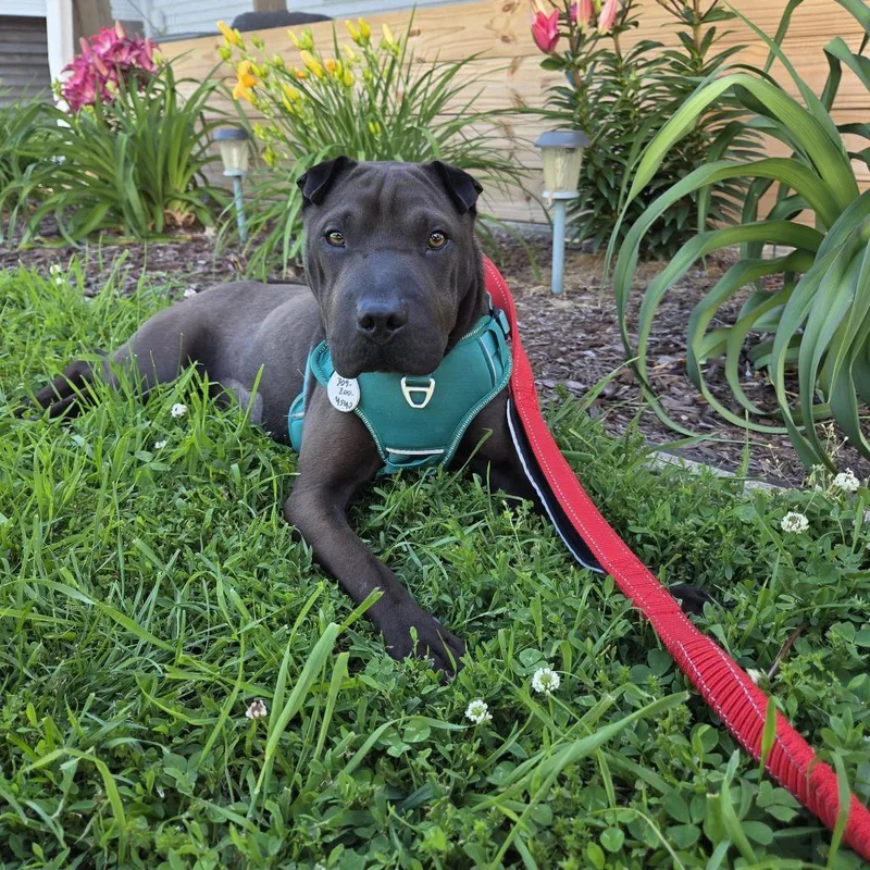 Ellie