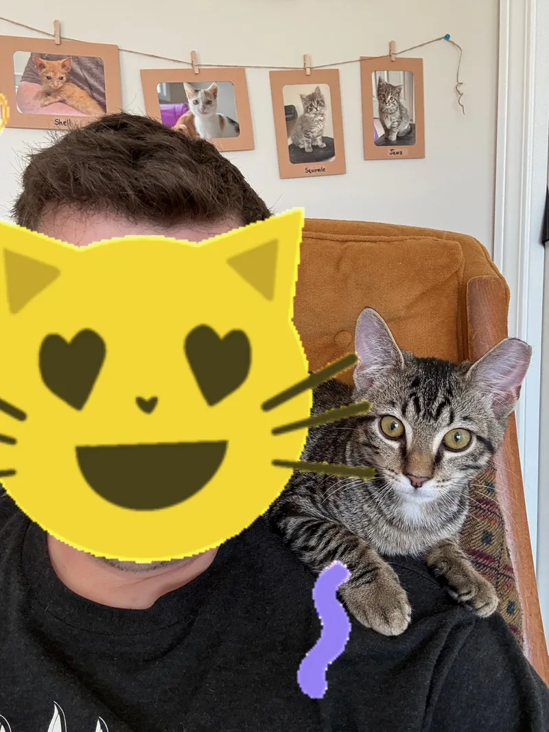 Pete thumbnail 6