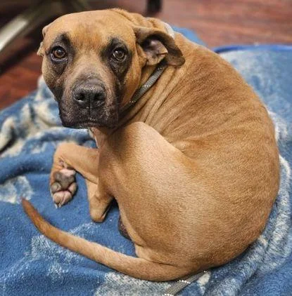 Bruce Scas thumbnail 2