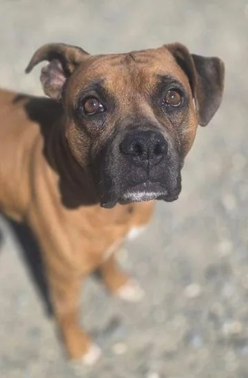 Bruce Scas thumbnail 3