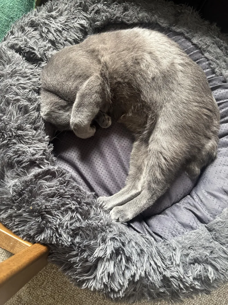 Ghost And Hatch thumbnail 2