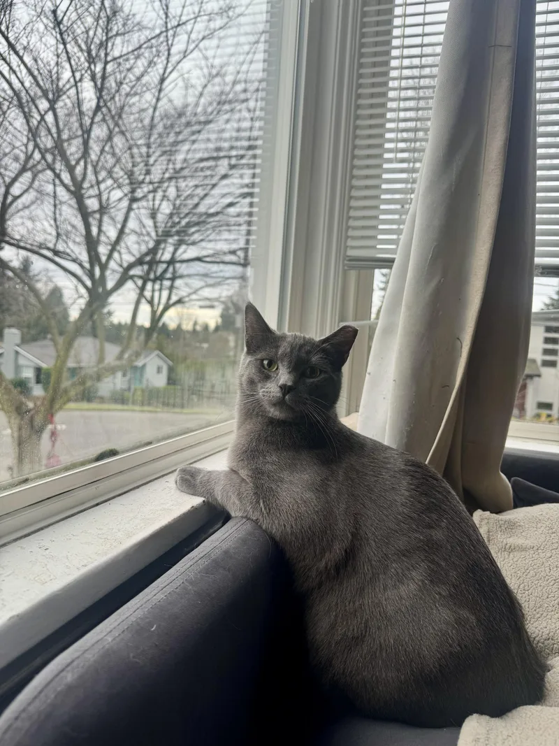 Ghost And Hatch thumbnail 3