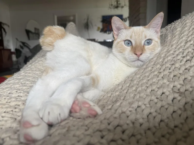 Ghost And Hatch thumbnail 4