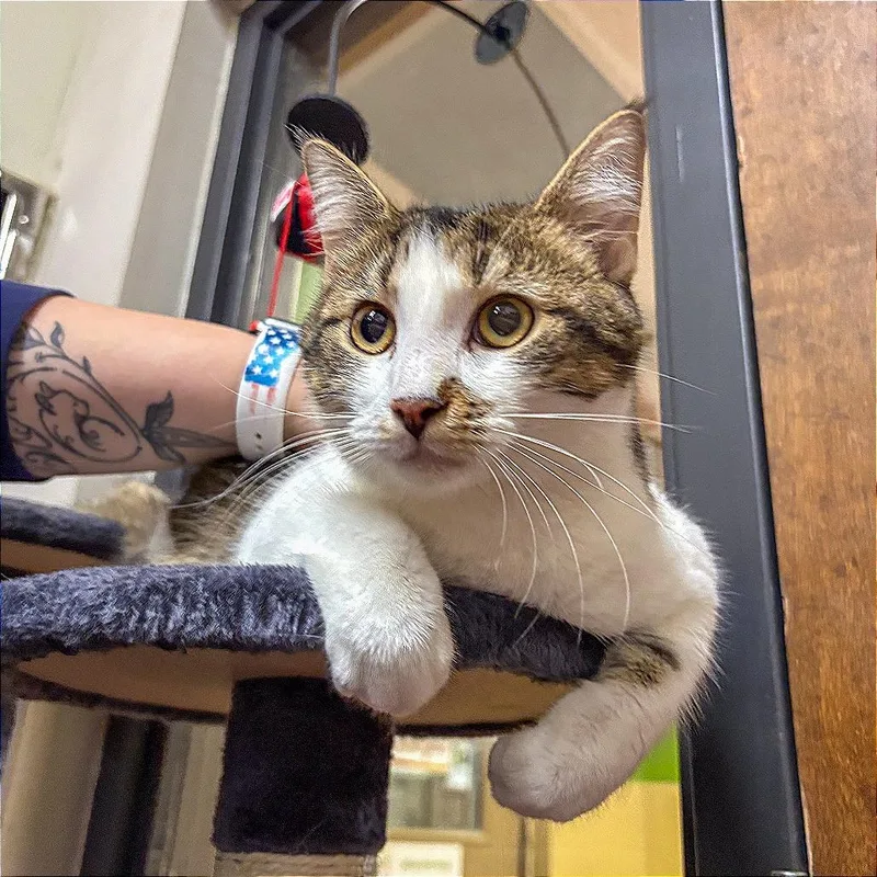 Gabrielle thumbnail 2