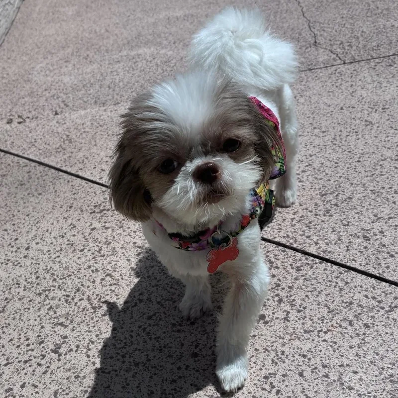 Mindy