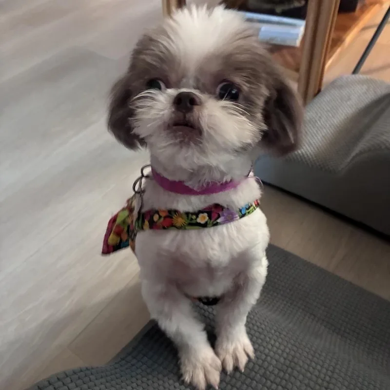 Mindy thumbnail 2