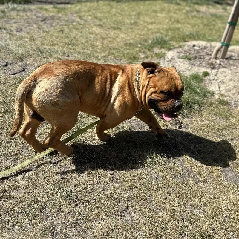 Gus  Ecas thumbnail 2