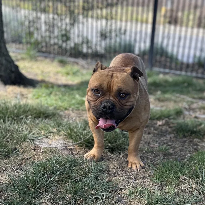 Gus  Ecas thumbnail 3