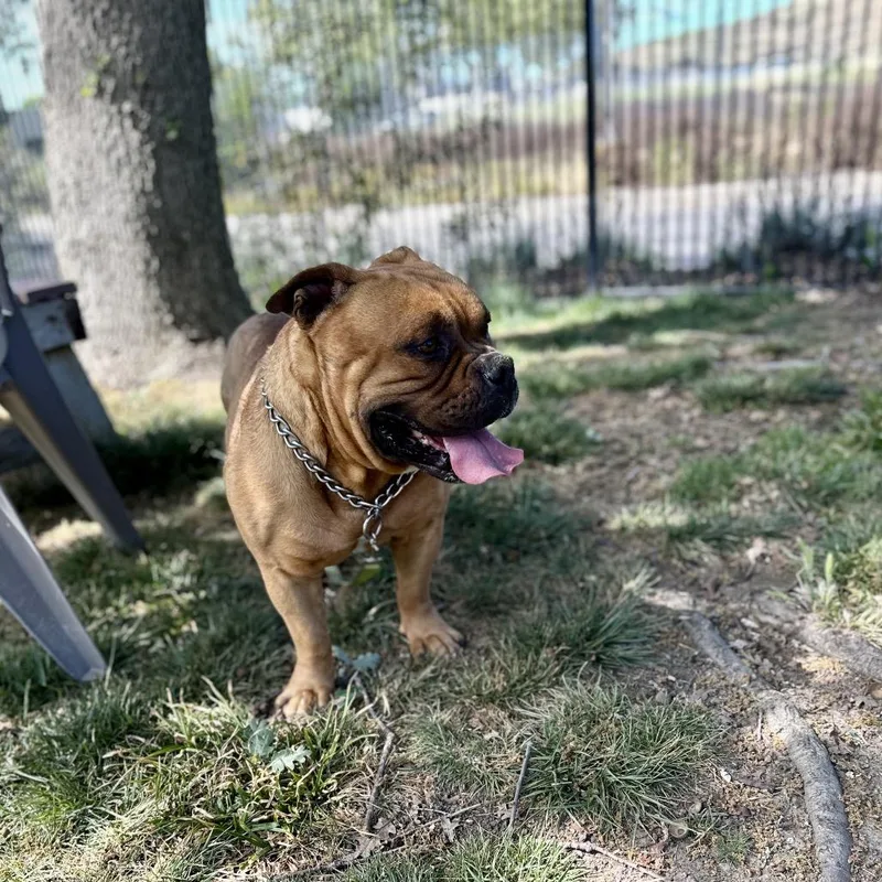 Gus  Ecas thumbnail 4