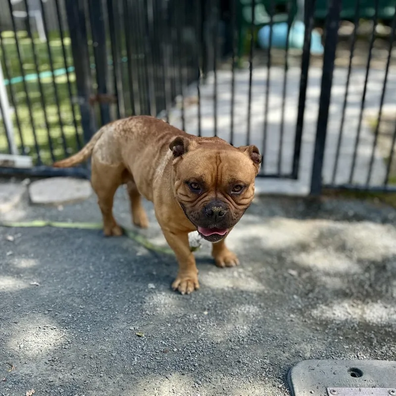 Gus  Ecas thumbnail 5